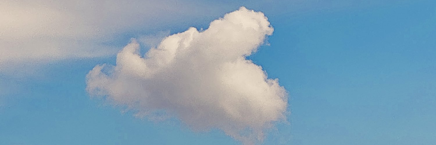 🌸🕊️اليقين Weather Loving🕊️🌸's banner