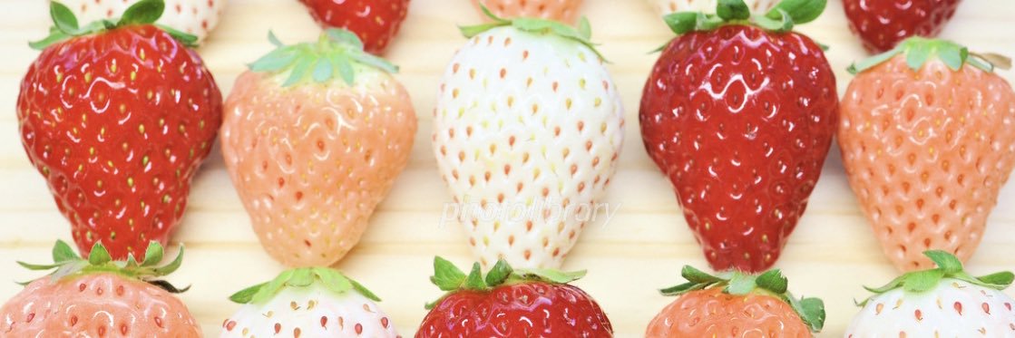 た〜くん🦋🍑🍓🍑🦋໒꒱· ﾟ's banner
