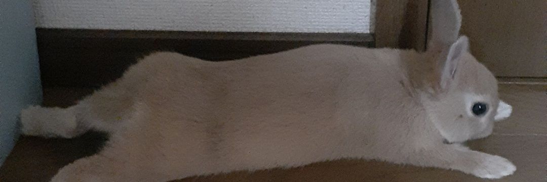 Kz(カズ)'s banner