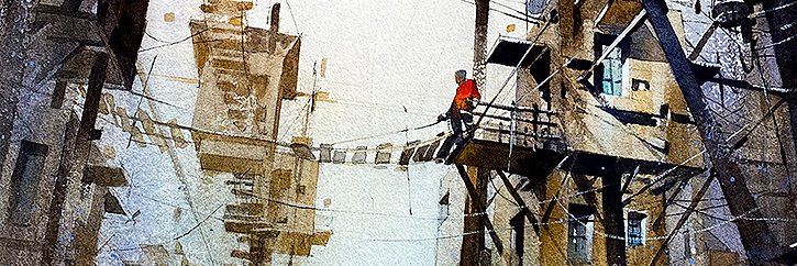 thomas w schaller's banner