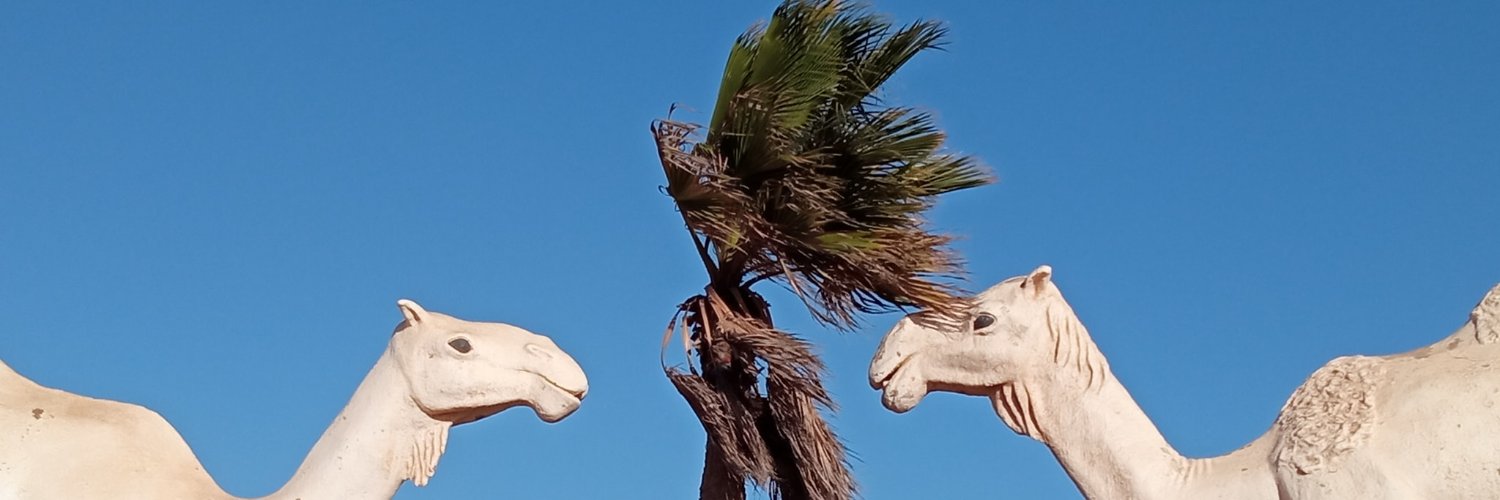 Naama MAOULAININE 🇲🇦 النعمة ماء العينين's banner