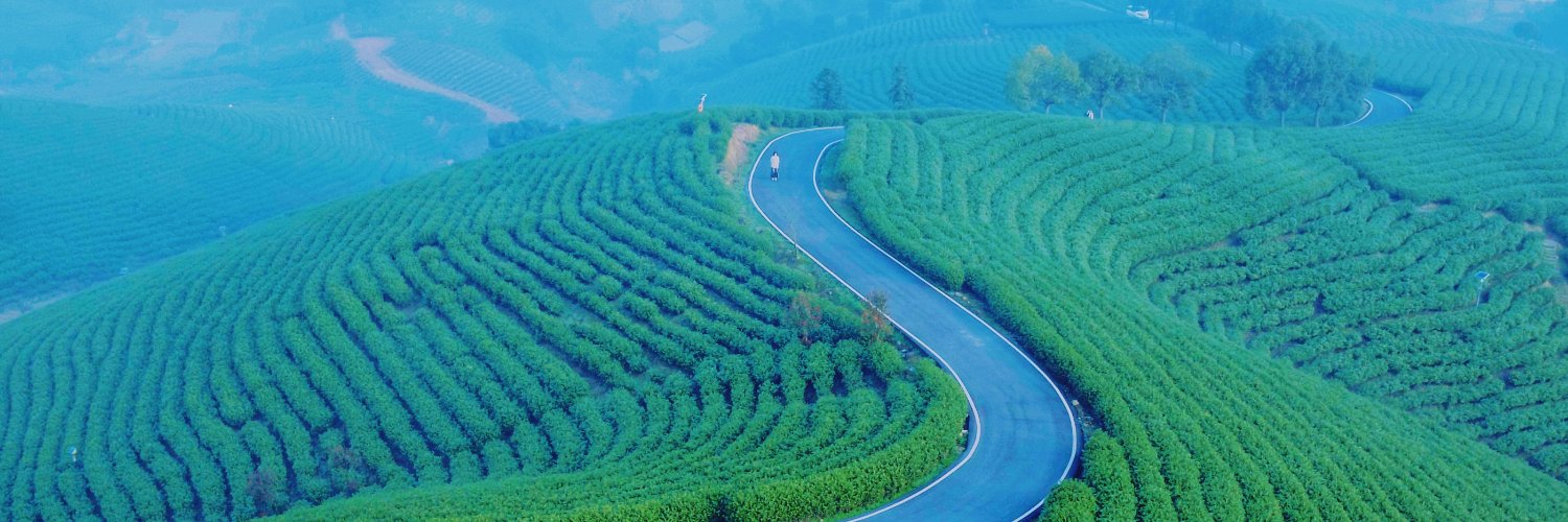 贝壳宝贝shellbaby（互fo）'s banner
