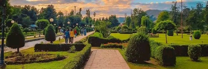 Ya Ya 🍂's banner