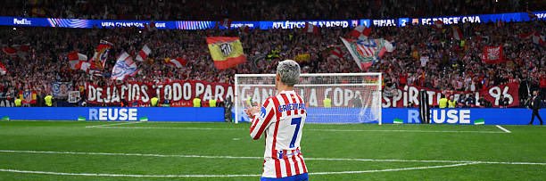 NEPTUNO's banner