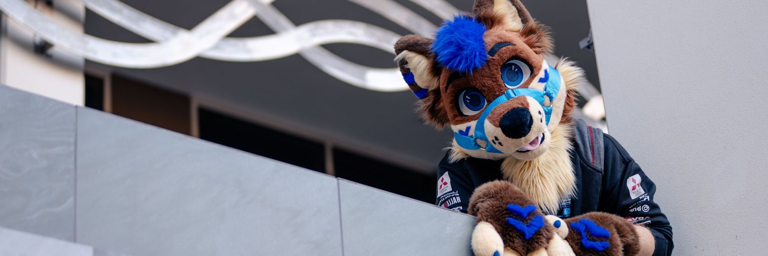 ⚡𝗦𝗵𝗮𝗱𝗼𝘄𝗼⚡ 🔜 FWA & FURDU's banner