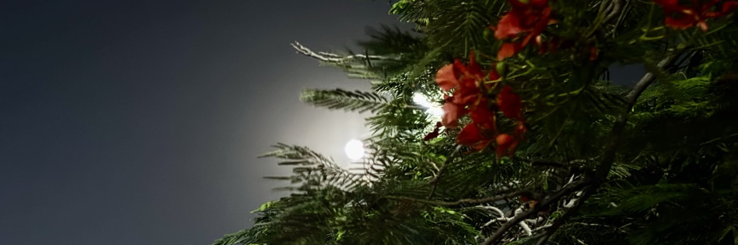 عفرِيدةٌ's banner