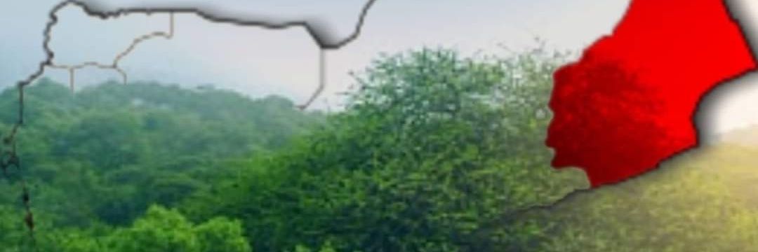 عبدالسلام المهري's banner