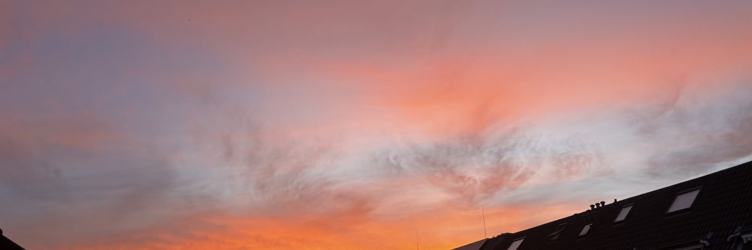 aloha✨'s banner