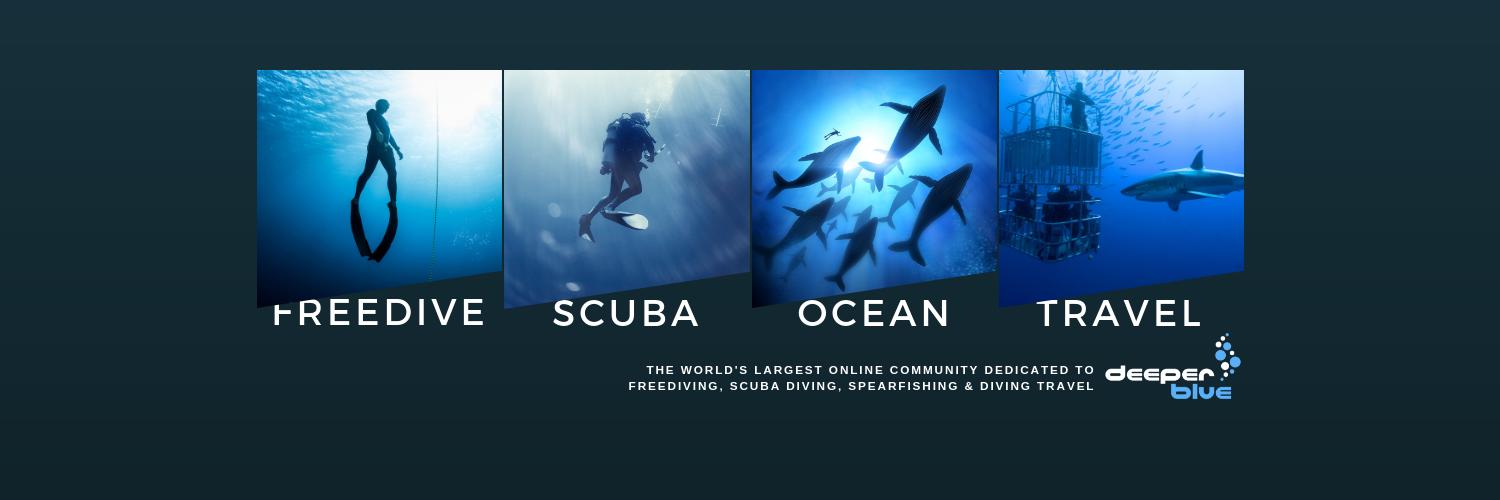 DeeperBlue.com's banner