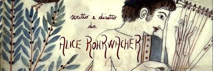 nicolacci ༊࿔'s banner
