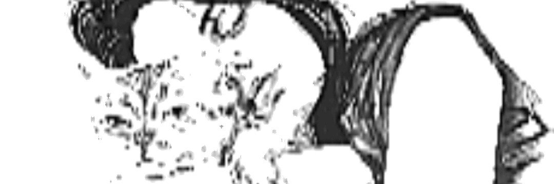 Cansu's banner