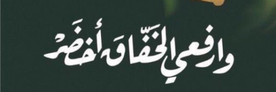 نبض🇸🇦🐪🐪🐪's banner