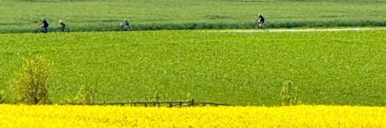 راتا رحیمی's banner