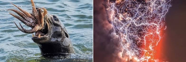 Nature is Awesome's banner