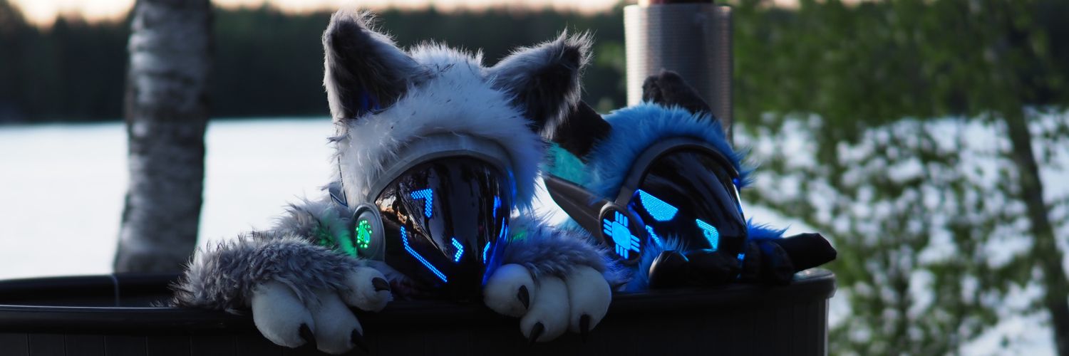Nolla's banner