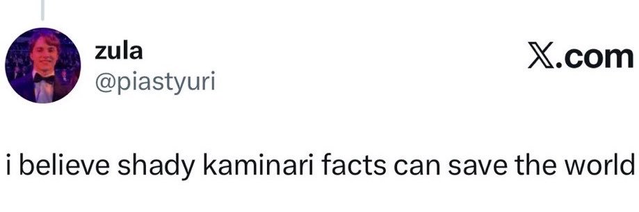 Shady Kaminari Facts🚬's banner