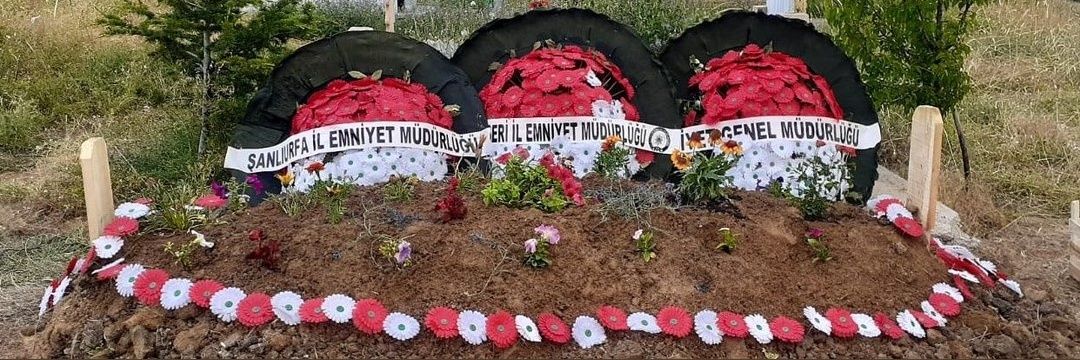 Aleyna Kara 🇹🇷's banner