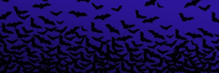 Noelle 🎸🎃's banner