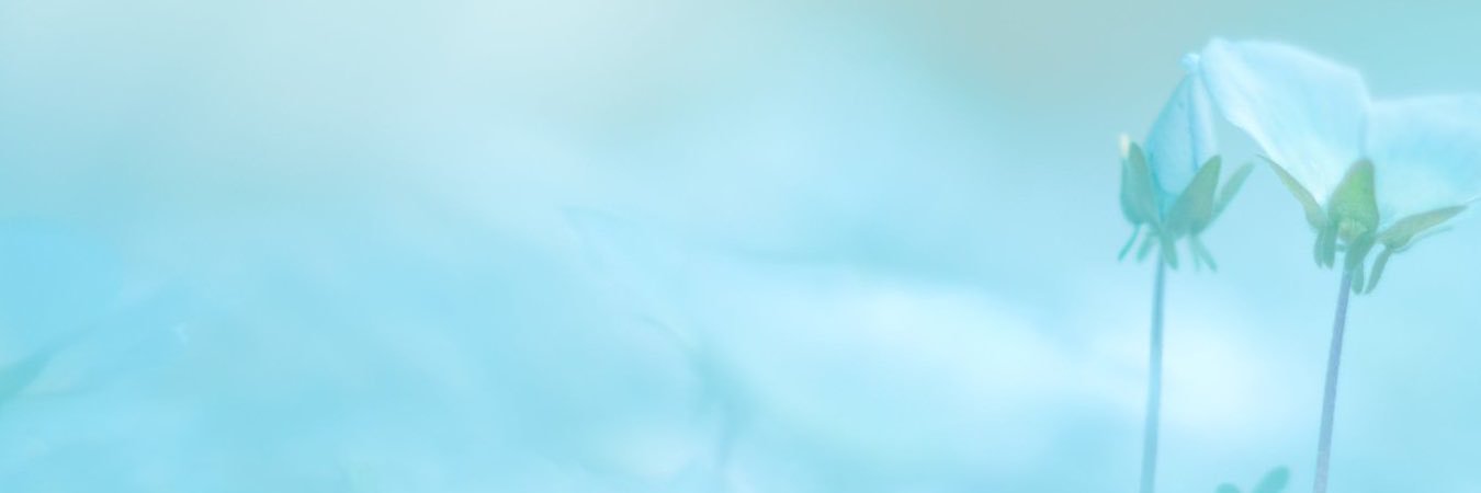 林诺's banner