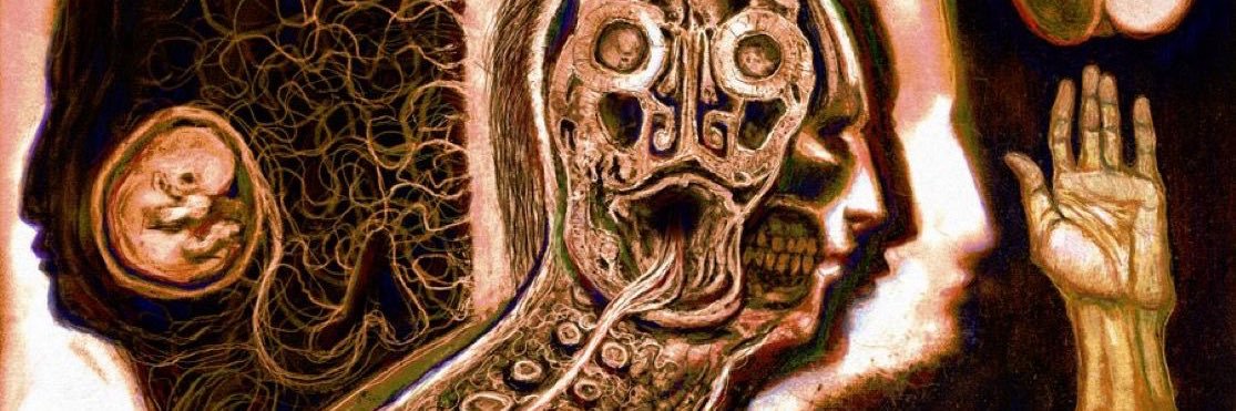 🪶 𒉭 Ethical Scientist 𓆣 ⚰️'s banner