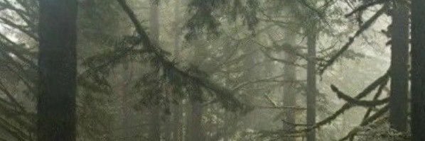 Mikey's banner