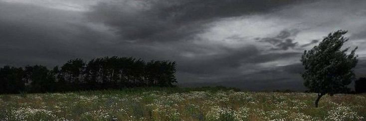 انثى بكل فخر♀️ ♍️'s banner