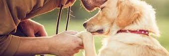 Profile that make your day 🤗's banner
