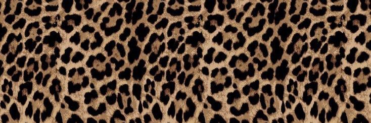 BUNDA HASHIRA🥷🏽💕's banner
