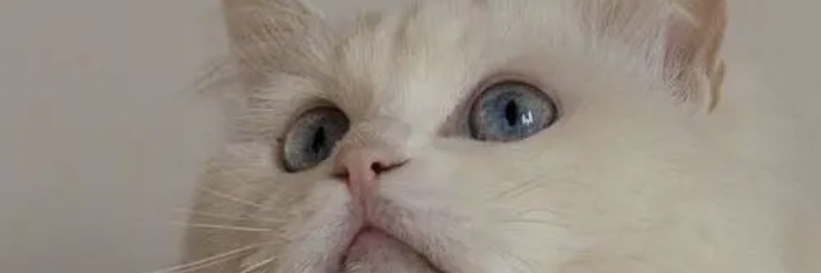 张佩佩's banner