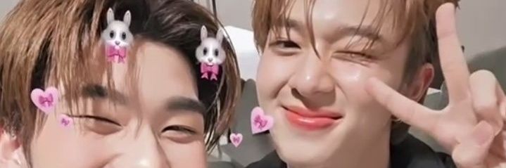 Kiwi 🐺🐱🫚🦖🛻 (busyyyy)'s banner