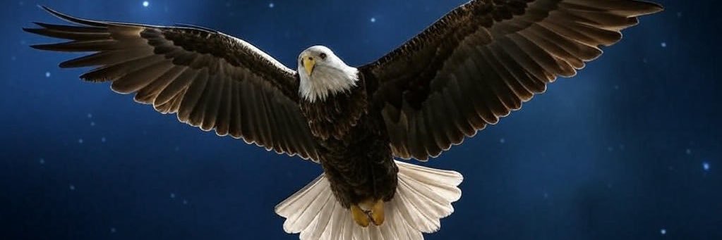 American™'s banner