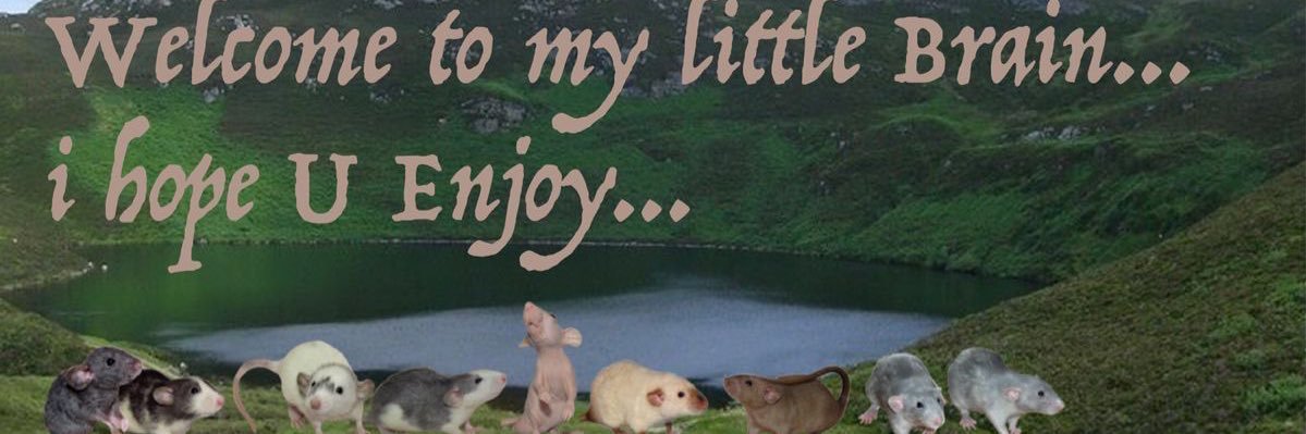 poppy 2: electric boogaloo 🐀's banner