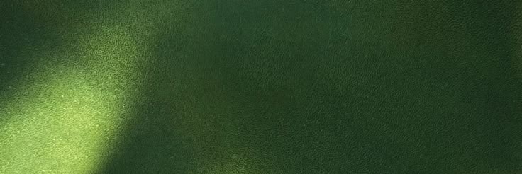 di-spencer 🐥✨'s banner