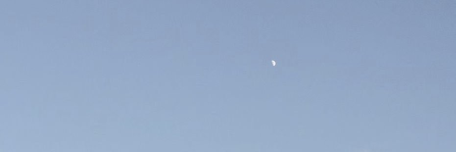 白昼夢's banner