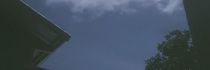 MOMOMOMO's banner
