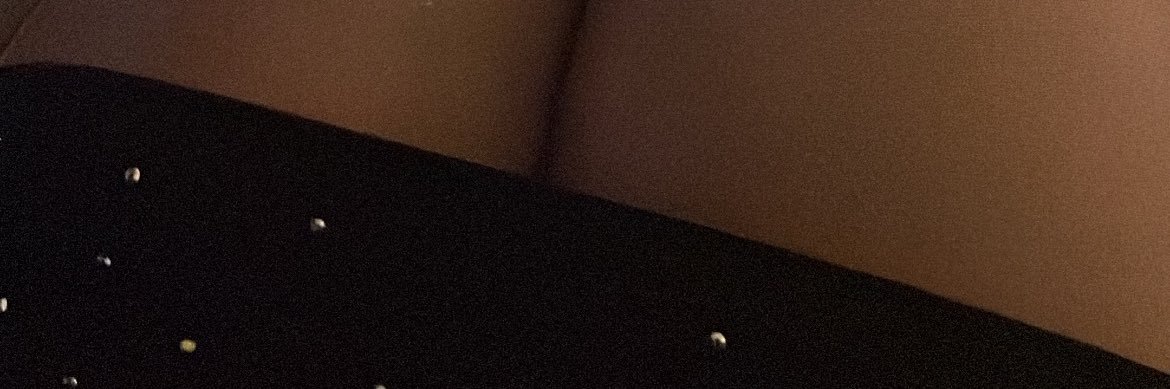 Lady Nylon's banner