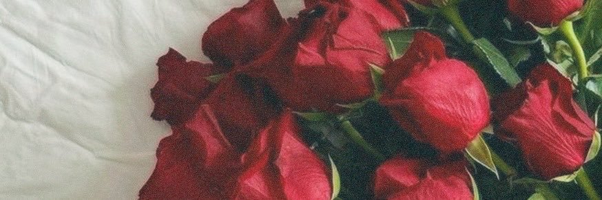 belen ⋆ ࣪'s banner