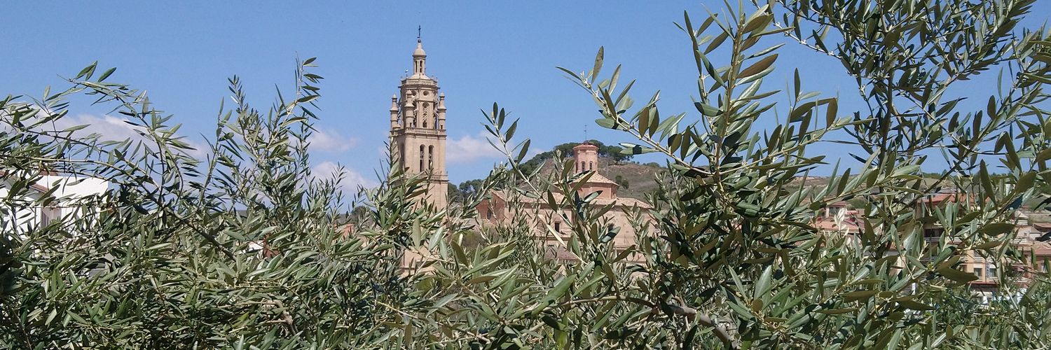 Javier Morrás's banner
