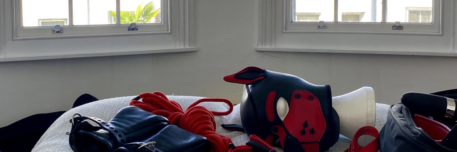 Nylo_pup_'s banner