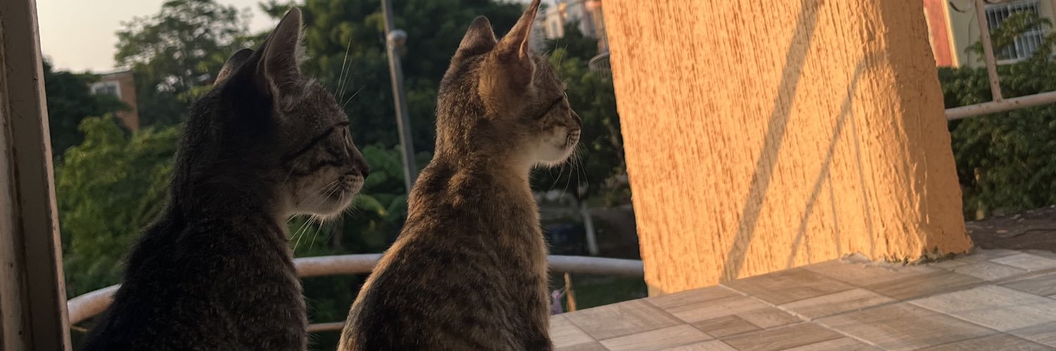 ˗ˏˋflakKa´ˎ˗'s banner