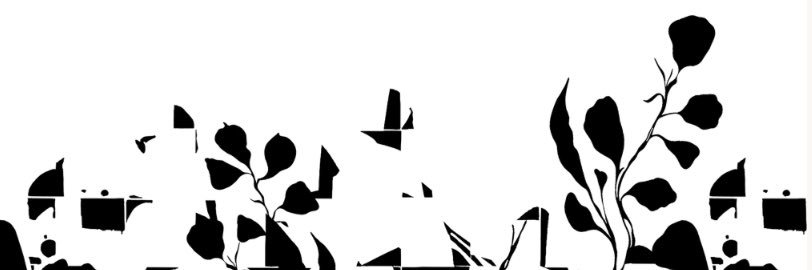 Baltazar.G's banner