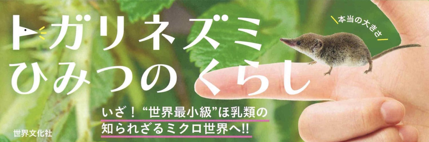 六田晴洋's banner