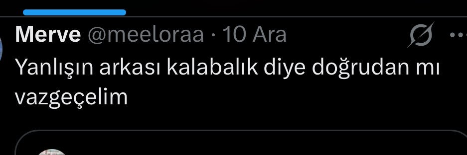 reiki ve duru görü's banner