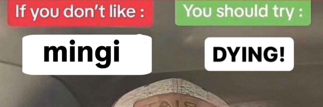 nat's banner