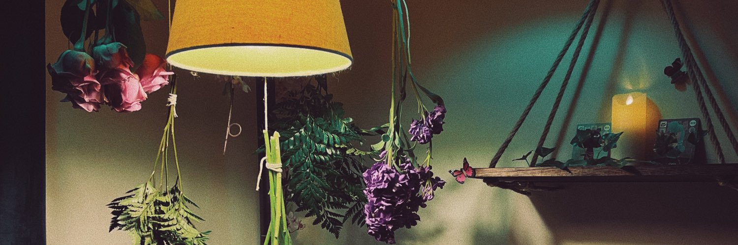 KissMyAshexo's banner