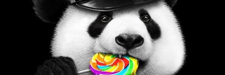 เจ้าด้า(Panda)'s banner