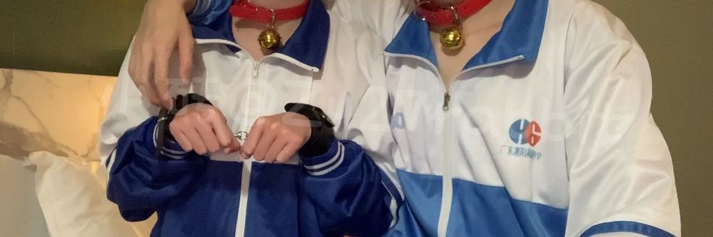 小砖's banner