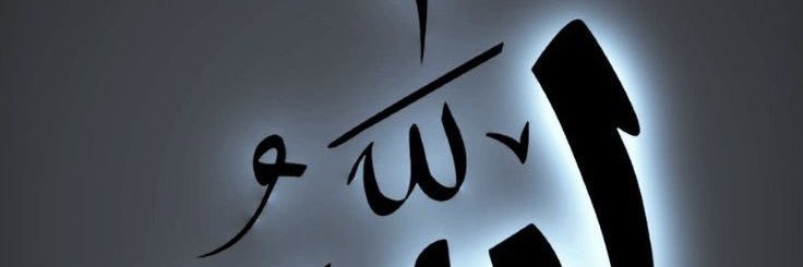 ګلاب افغان's banner