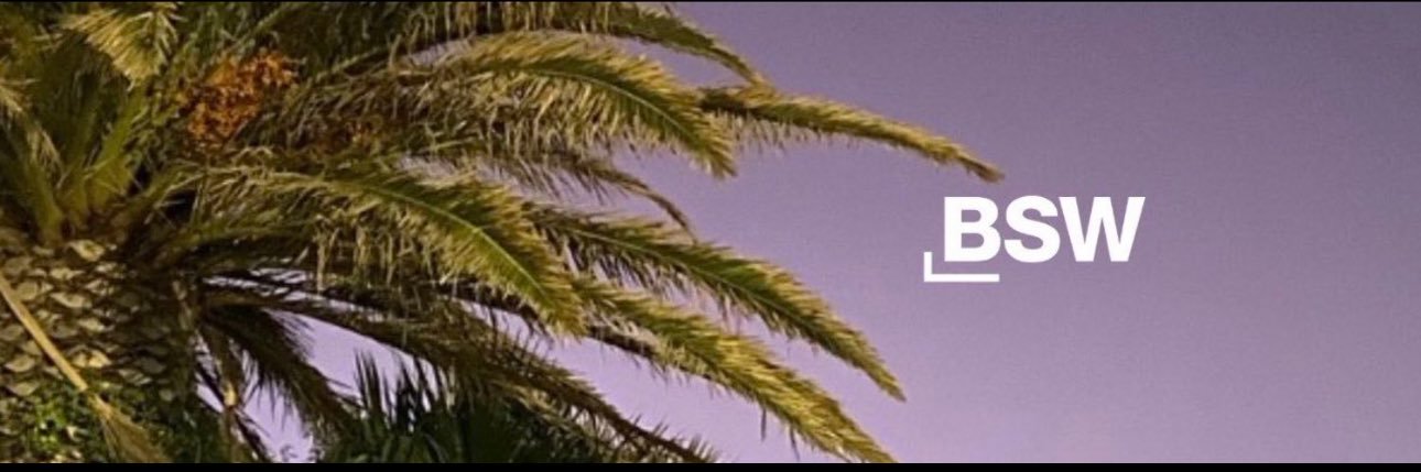 Fabio De Masi 🦩's banner