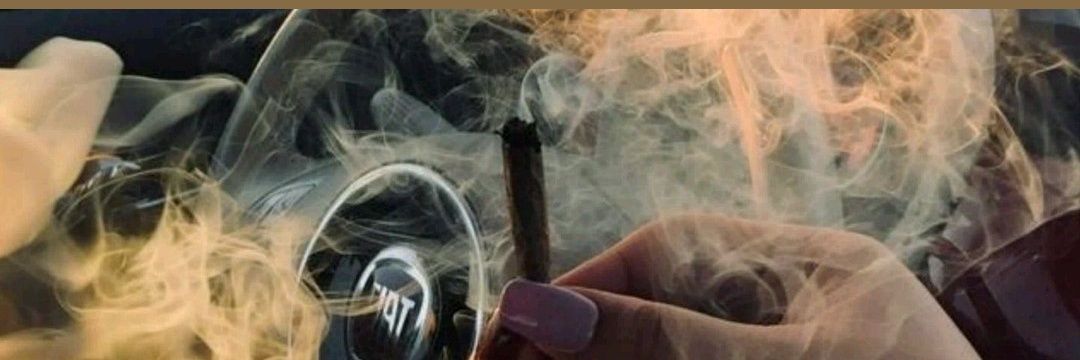 moreninha🔥's banner